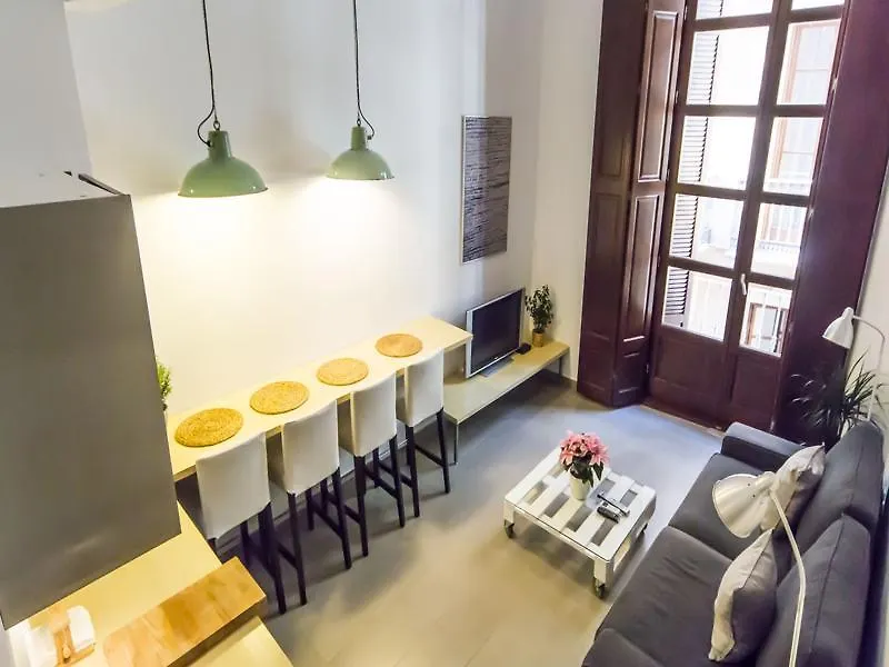 Apartamentos Málaga Picasso